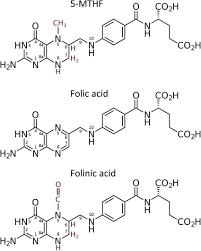 5-MTHF, folic acid and folinic acid compared